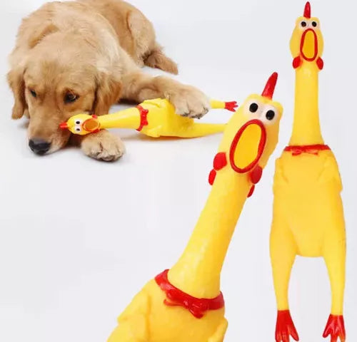 Cepillo Vapor Para Mascotas Pollo Medi